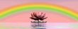 Lotus flower under rainbow - 3D render