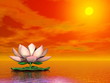 Lotus flower by sunset - 3D render
