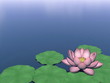 Lotus flower and leaves on water - 3D render