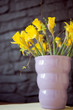 Photo: narcissus narcissus