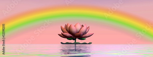 Illustration: Lotus flower under rainbow - 3D render Lotus flower under rainbow - 3D render