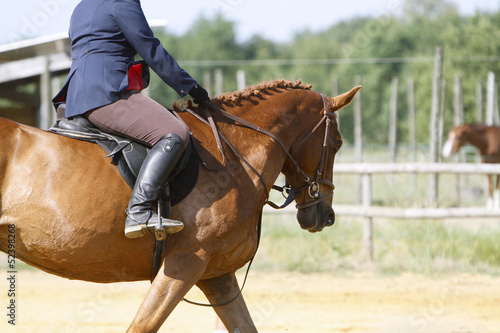 Photo: Equitation Equitation