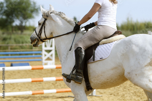 Photo: Equitation Equitation