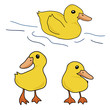 Set of cute duck cartoon (character design)