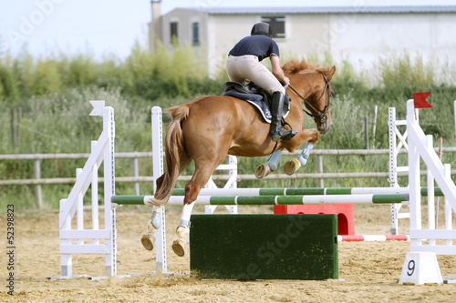 Photo: Equitation Equitation