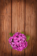 Primrose on a wooden table. top view