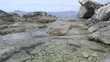 Tidal Pool