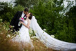 Bride and groom