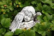 engel mit Inschrift "ruhe in Frieden" auf Friedhof