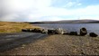 Vidéo : cow green reservoir teesdale uk cow green reservoir teesdale uk