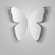 Paper Butterfly