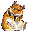Vektor: hamster hamster