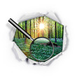Papierloch - Wald - Lupe