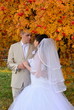 The bride groom holding hands under the autumn rowan
