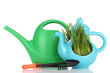Green grass in decorative pot isolated on white