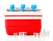 Traveling refrigerator with bottles of water and ice cubes,