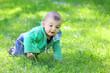 Photo: Little boy playing on the meadow. Little boy playing on the meadow.