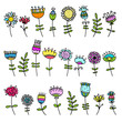 Vector: Sketch of floral elements for your design Sketch of floral elements for your design