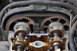 Car engine head, two camshaft, pulley and belt