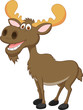 Moose cartoon