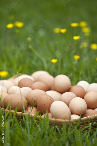 Photo: Basket of fresh brown eggs in grass Basket of fresh brown eggs in grass