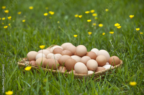 Photo: Basket of fresh brown eggs in grass Basket of fresh brown eggs in grass