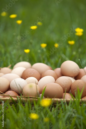 Photo: Basket of fresh brown eggs in grass Basket of fresh brown eggs in grass