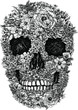 Flower Skull Vector