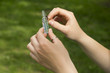 veterinary ampoule