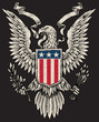 American Eagle Linework Vector