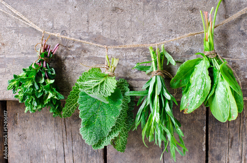 Photo: Mint, sage, tarragon and spinach on a wooden background Mint, sage, tarragon and spinach on a wooden background