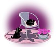 Dog and Cat