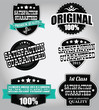 Set of vintage retro labels
