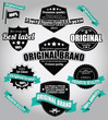 Set of vintage retro labels