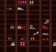 Wardrobe. Brown Wood Shelves with Women's Shoes. Fashion
