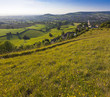 Idyllic rural landscape, Cotswolds UK