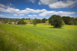 Idyllic rural landscape, Cotswolds UK