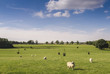 Idyllic rural farmland, Cotswolds UK