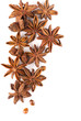Whole Star Anise isolated on white background with shadow