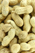 Peanuts
