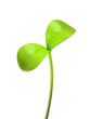 Illustration: young green sprout isolated on white background young green sprout isolated on white background