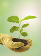 Photo: concept protection de la nature concept protection de la nature