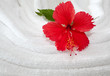 fleur d'hibiscus rouge sur serviette blanche