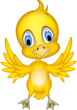 Cute chick cartoon