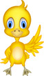 Cute chick cartoon