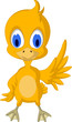 Cute chick cartoon