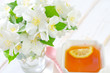 jasmin