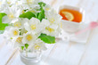 jasmin