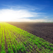 Photo: evening rural scene evening rural scene