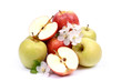 Foto: Erntezeit, Äpfel Erntezeit, Äpfel